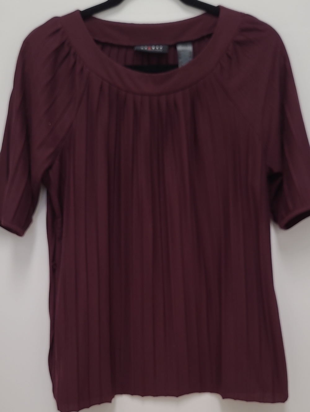 Axcess Pleated Short-Sleeve Top in Burgundy